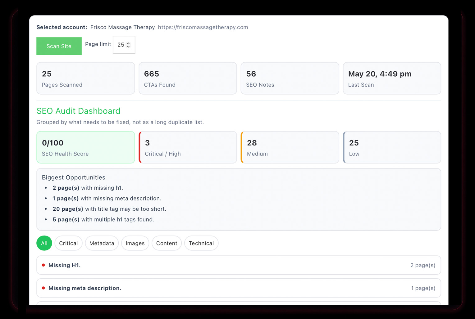 watermelonseed-seo-audit